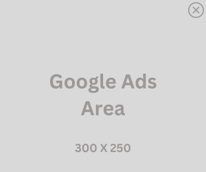 Google Ads Area
